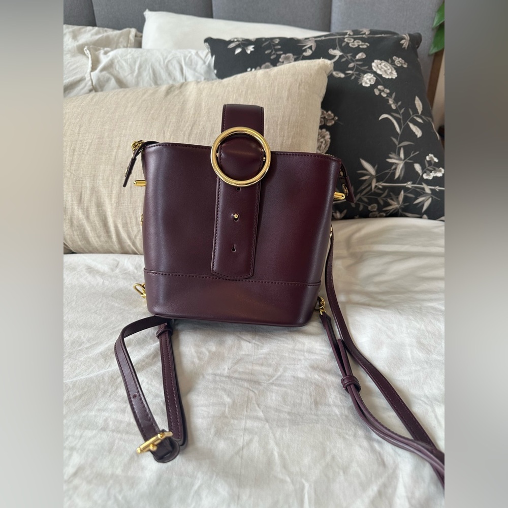 Parisa Wang “addicted mini backpack” 💜